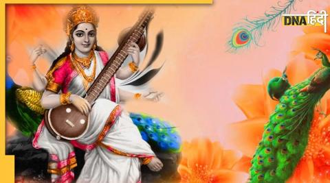 Basant Panchami Upay