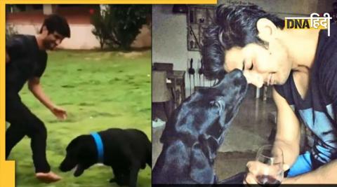 Sushant Singh Rajput Pet Dog Passed Away