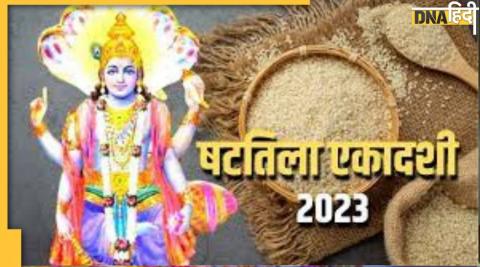 Shattila Ekadashi: आज इन 6 कामों में करें तिल का उपयोग