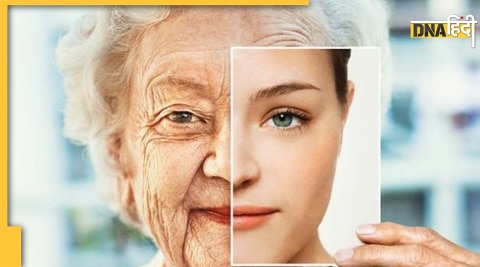 age reversal old will look younger Harvard university new research 