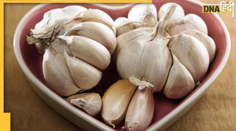 Winter Superfood Garlic:इन 10 वजहों से ठंड में रोज खाएं लहसुन