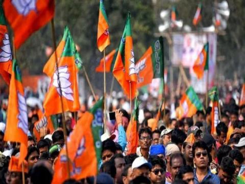 नगर निकाय चुनावों में BJP की शानदार जीत. (सांकेतिक तस्वीर)