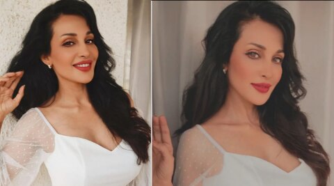 Flora Saini Hot Photos