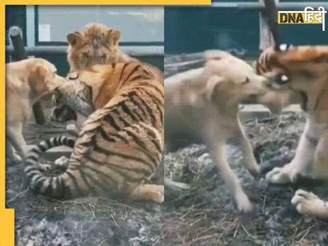 Viral Video