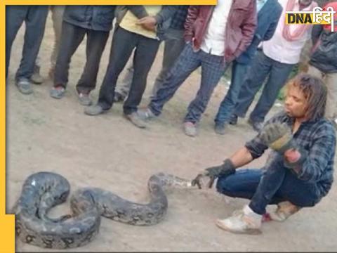 Python Rescue in Vidisha Madhya Pradesh