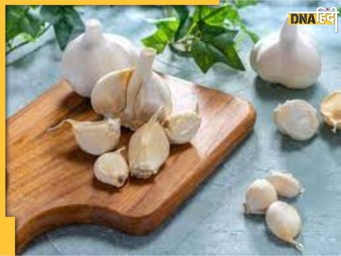 Garlic Benefits