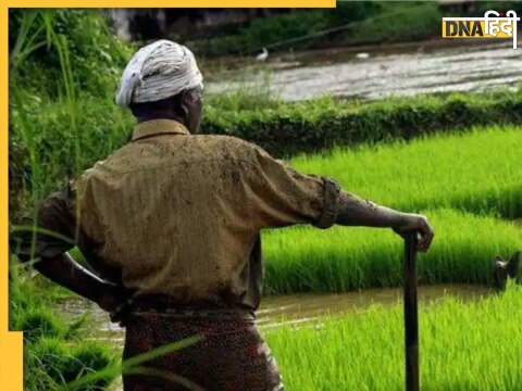 up bahraich man was alive dead in revenue records after 4 years dm office