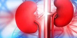 kidney damage reasons