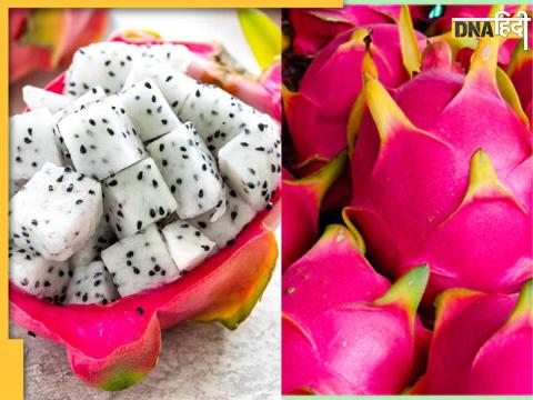 Dragon Fruit