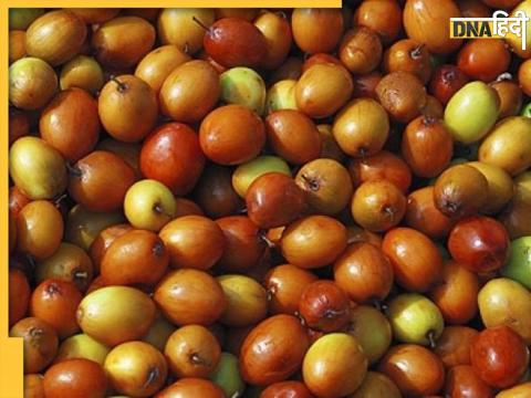 Jujube Benefits