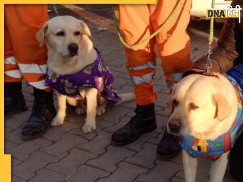 Indian heroes of Turkey Earthquake sniffer dogs Romeo and Julie