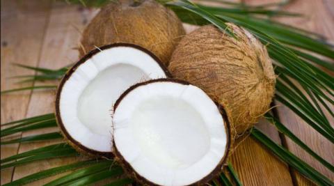 नारियल (Coconut)