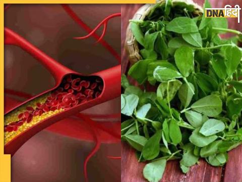 Fenugreek Leaves Benefits