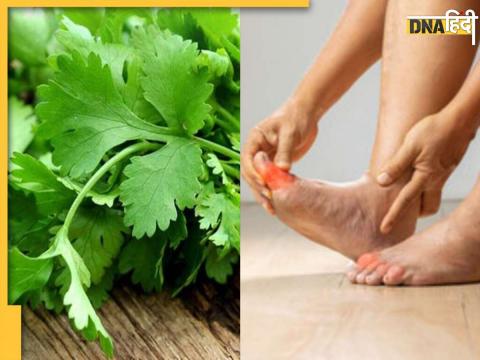 Coriander Leaves Benefits 