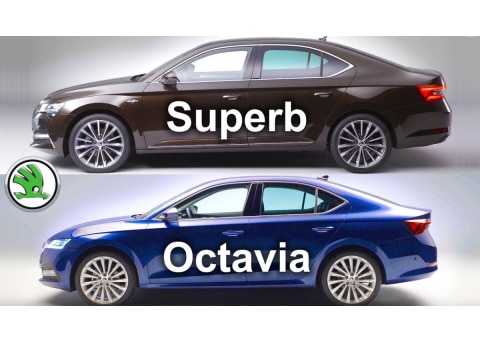 Skoda Octavia and Superb