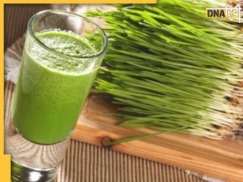 Wheatgrass benefits