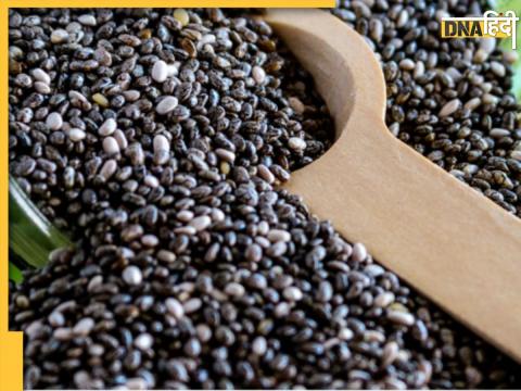 Chia Seeds Benefits