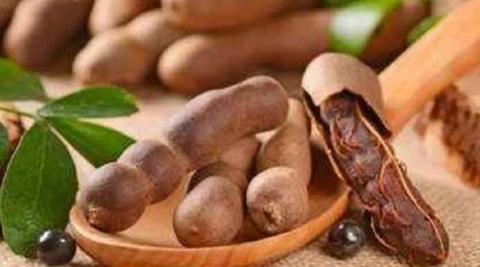 इमली (Tamarind)