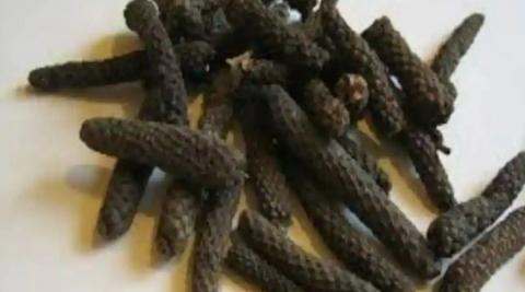 पिप्पली (Long Pepper)