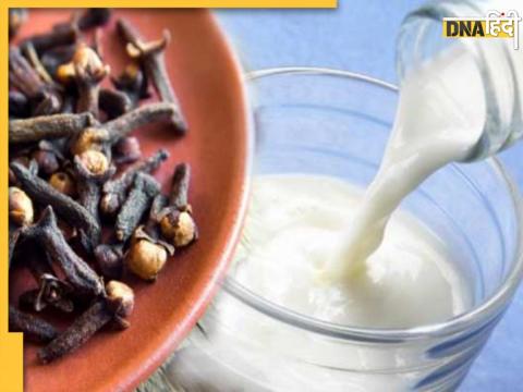 Clove Milk Benefits