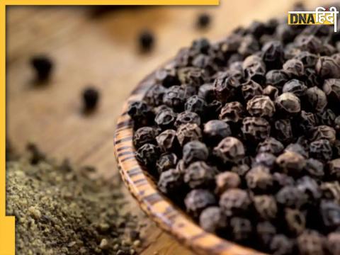 Black Pepper Benefits