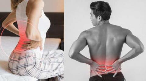 कमर और पीठ दर्द से मिलता है आराम (Back Pain Relief)