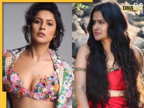 Sona Mohapatra On Shehnaaz Gill