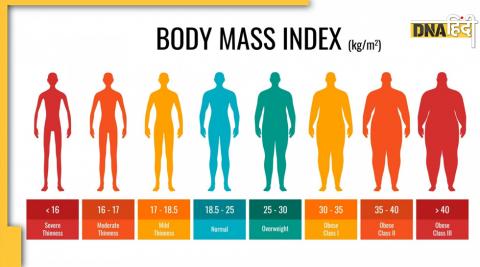 Test your BMI