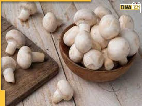 Benefits of mushroom