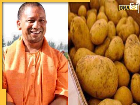 Yogi govt on target for Potato production price