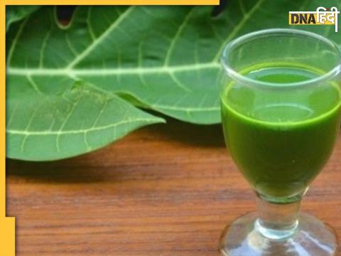 Papaya Leaves Juice Benefits