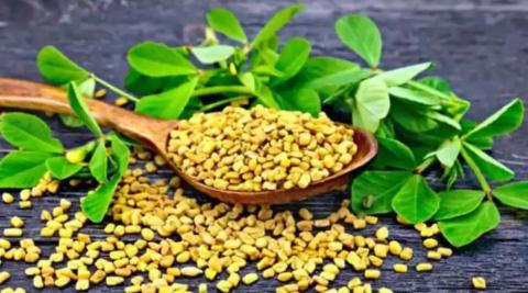 मेथी के दाने (Fenugreek Seeds For Bad Cholesterol)