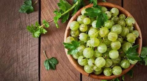 आंवला (Gooseberry For Bad Cholesterol) 