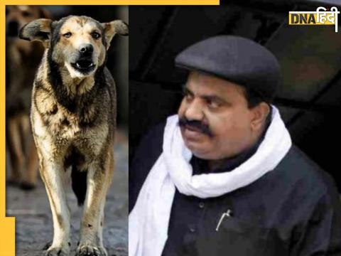 atique ahmed dog bruno died hunger thirst 4 dogs critical condition umesh pal murder case up police