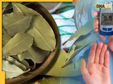 Bay Leaf Benefits