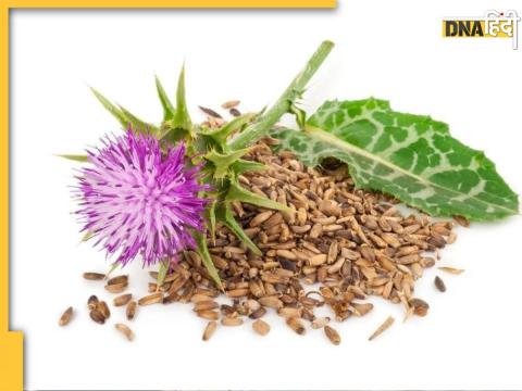 Diabetes Natural Remedy