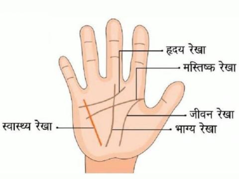 Palmistry astrology love line in palm