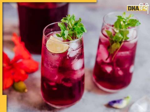 Hibiscus Tea for Cholesterol