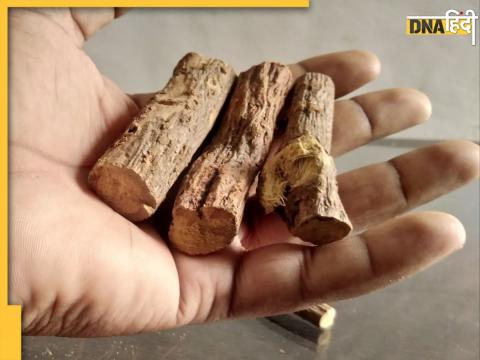 Lungs Cleaning Herbs