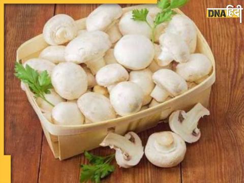 Mushrooms Benefits For High Cholesterol