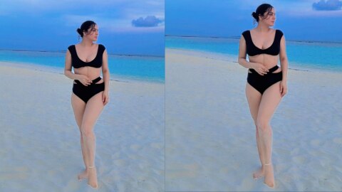 Shraddha Arya latest bikini photos 