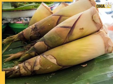 Bamboo Shoots Benefits