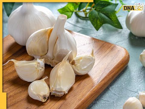 Garlic Boosting Immunity and Control Blood Pressure