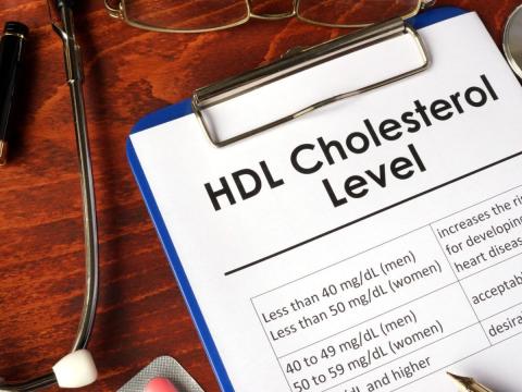 HDL Cholesterol Level