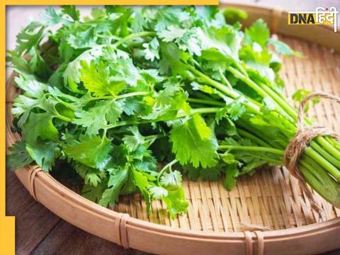 Coriander Benefits For Thyroid