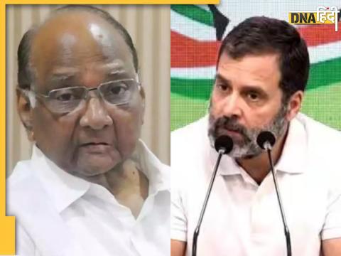 Rahul Gandhi and Sharad Pawar