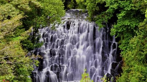 एलिफेंट फॉल्स (Elephant Falls Shillong)