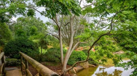 लेडी हैदरी पार्क (Lady Hydari Park Shillong)