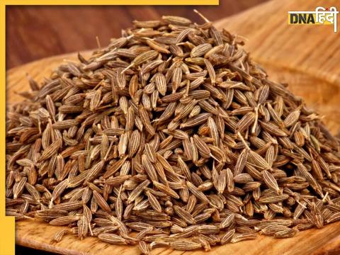 Cumin Seeds Price Today