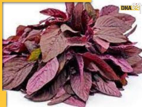 red spinach to control diabetes